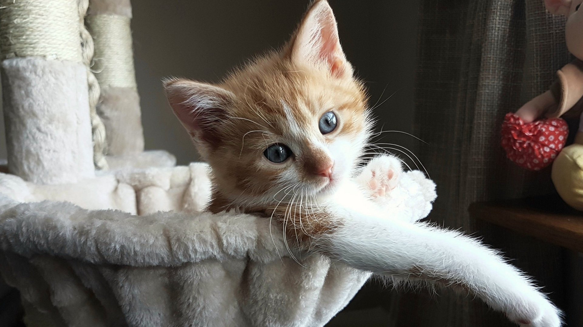 乐鱼体育-_水上激光激光赛：未来科技引领运动新潮流_，激光武器能否用于水下