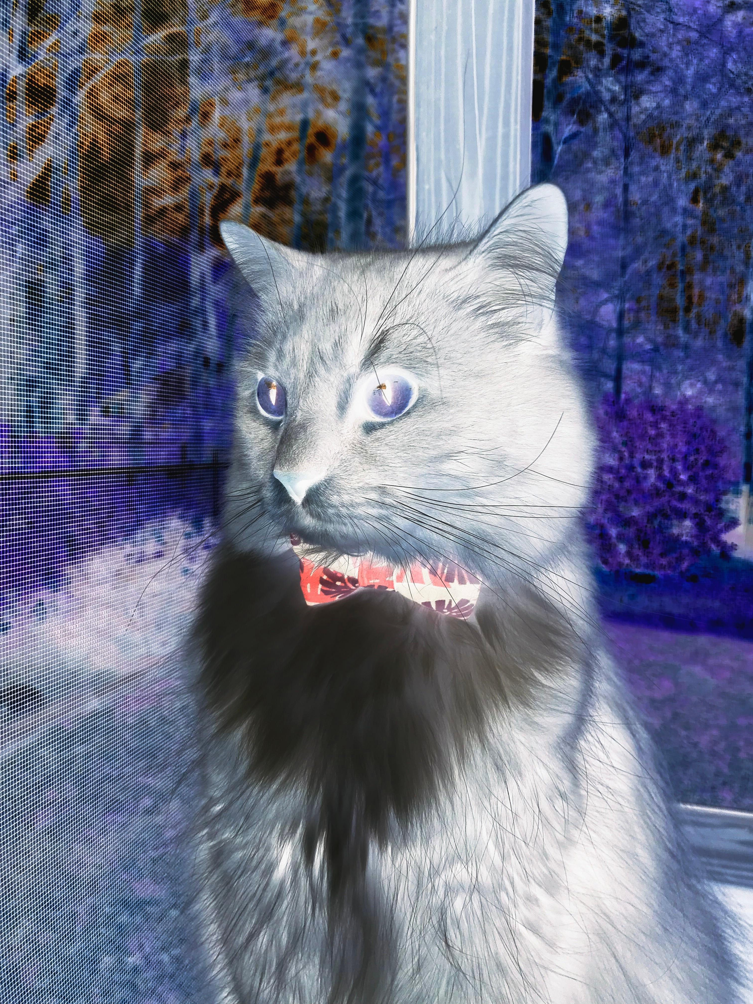 _水上激光激光赛：未来科技引领运动新潮流_，激光武器能否用于水下