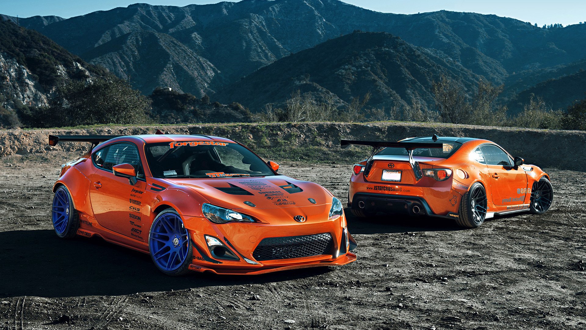 “球场内外:球员的动人故事和激情人生”,关于球员