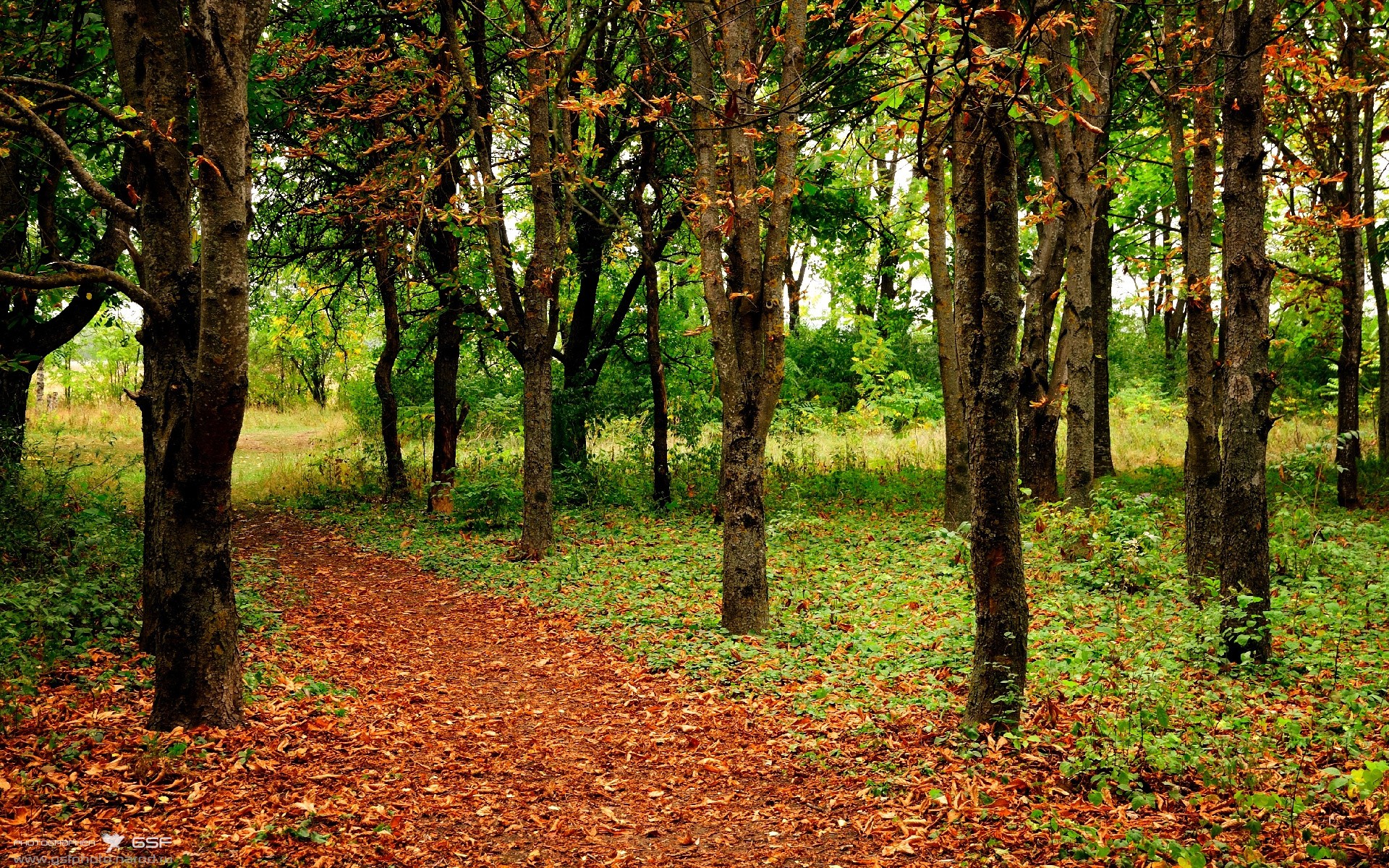 《Valorant爆冷在望，年轻战队逆袭夺冠！》，valorant比赛