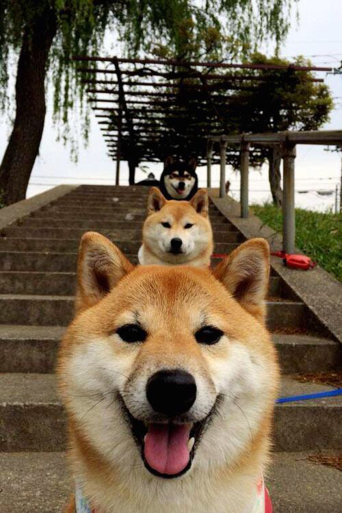 【比赛分析】顶尖运动员如何利用球桌优势布局,桌上球类运动