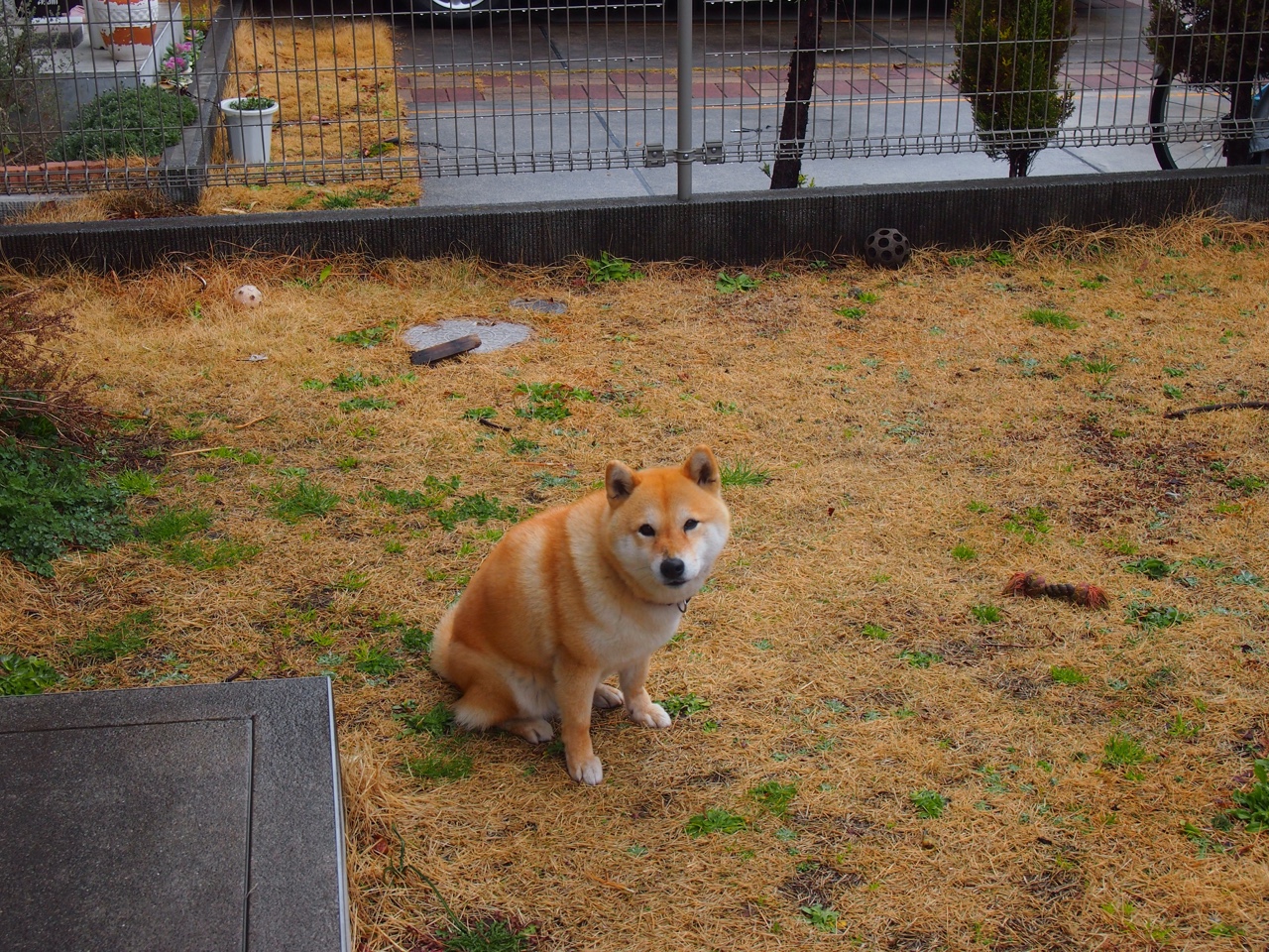 中国高尔夫球协会与腾讯合作，拓展赛事传播渠道，中国高尔夫球俱乐部