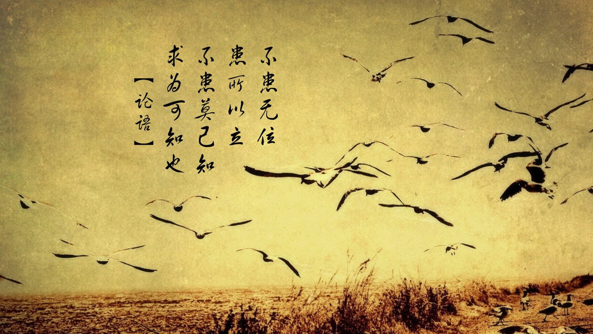 全国青少年“科技篮球”创新创业大赛在杭州盛大举行，推动行业革新