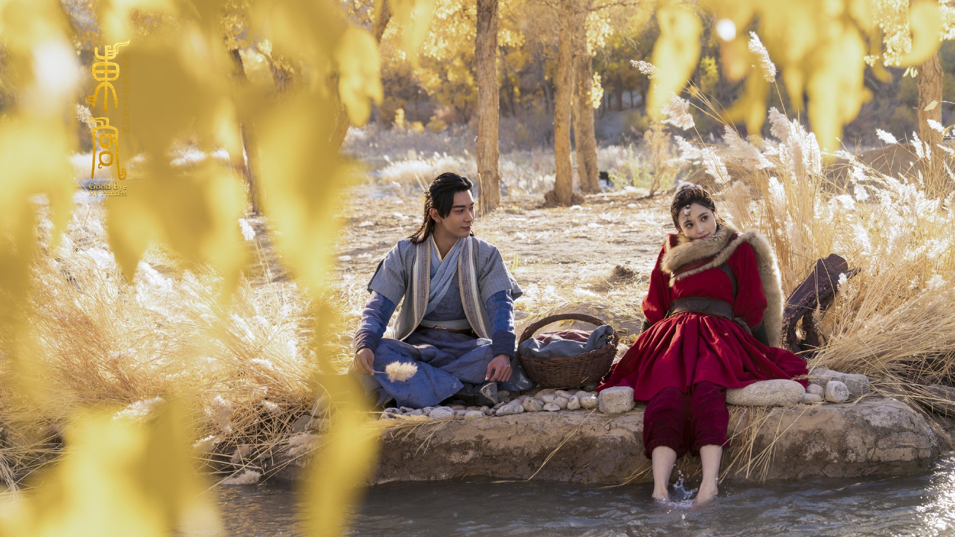 史上最年轻“冠军得主”一夜成长，最年轻的冠军