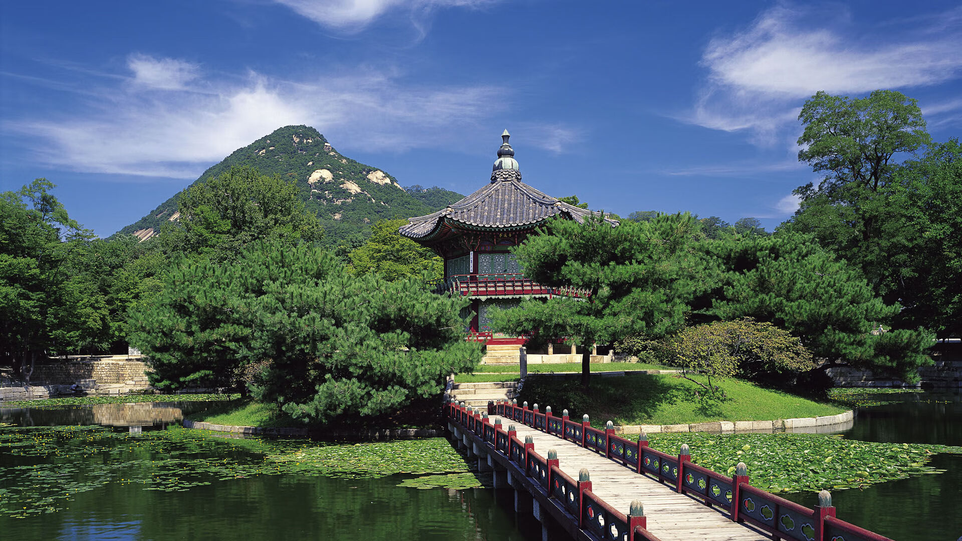 德甲火热,球迷盛赞比赛环境,2021德甲用球