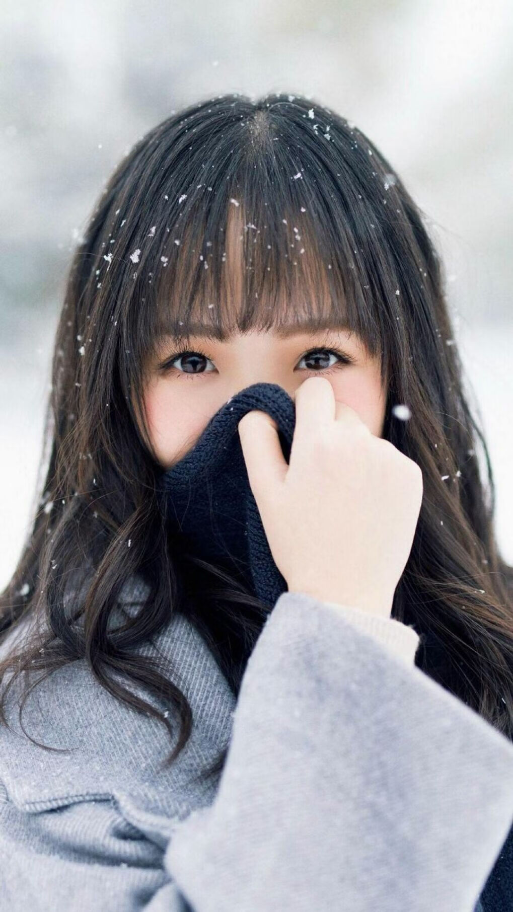 新法规出台,车队如何应对?,车队的管理和规章制度及细则