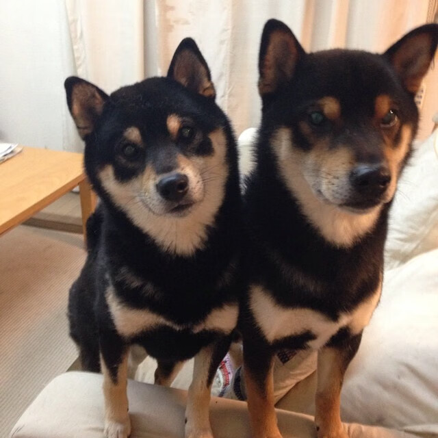 乐鱼（LEYU）体育-西班牙斩获连续第二枚奥运奖牌，西班牙奥运会第几个出场