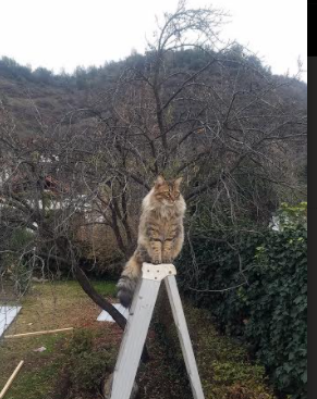 雄鹿退役拉里·桑德斯球衣，表彰防守贡献，里德 雄鹿