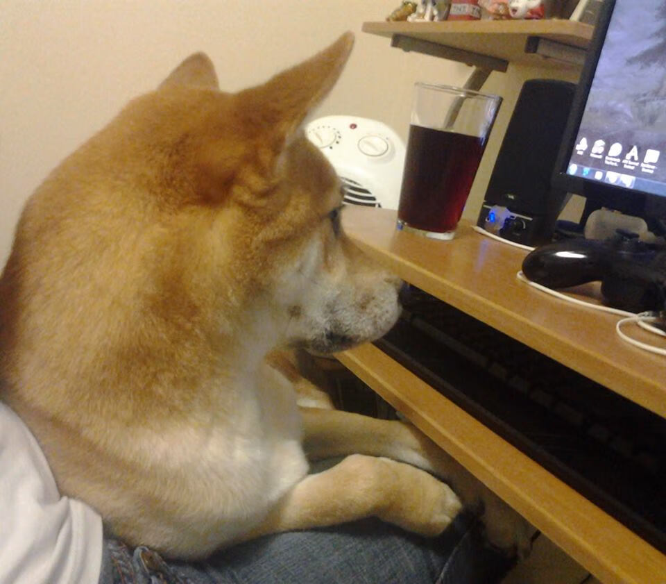 全北现代新援首秀破门,全北现代赞助商