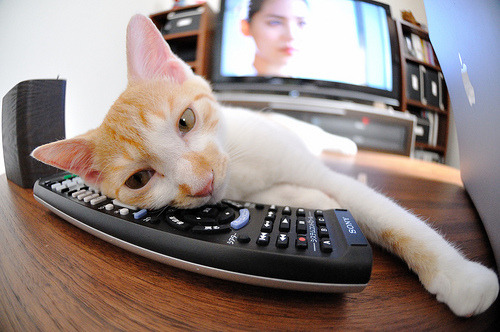 尤尼克斯努力追赶，争夺季后赛更好名次，尤尼克斯球赛