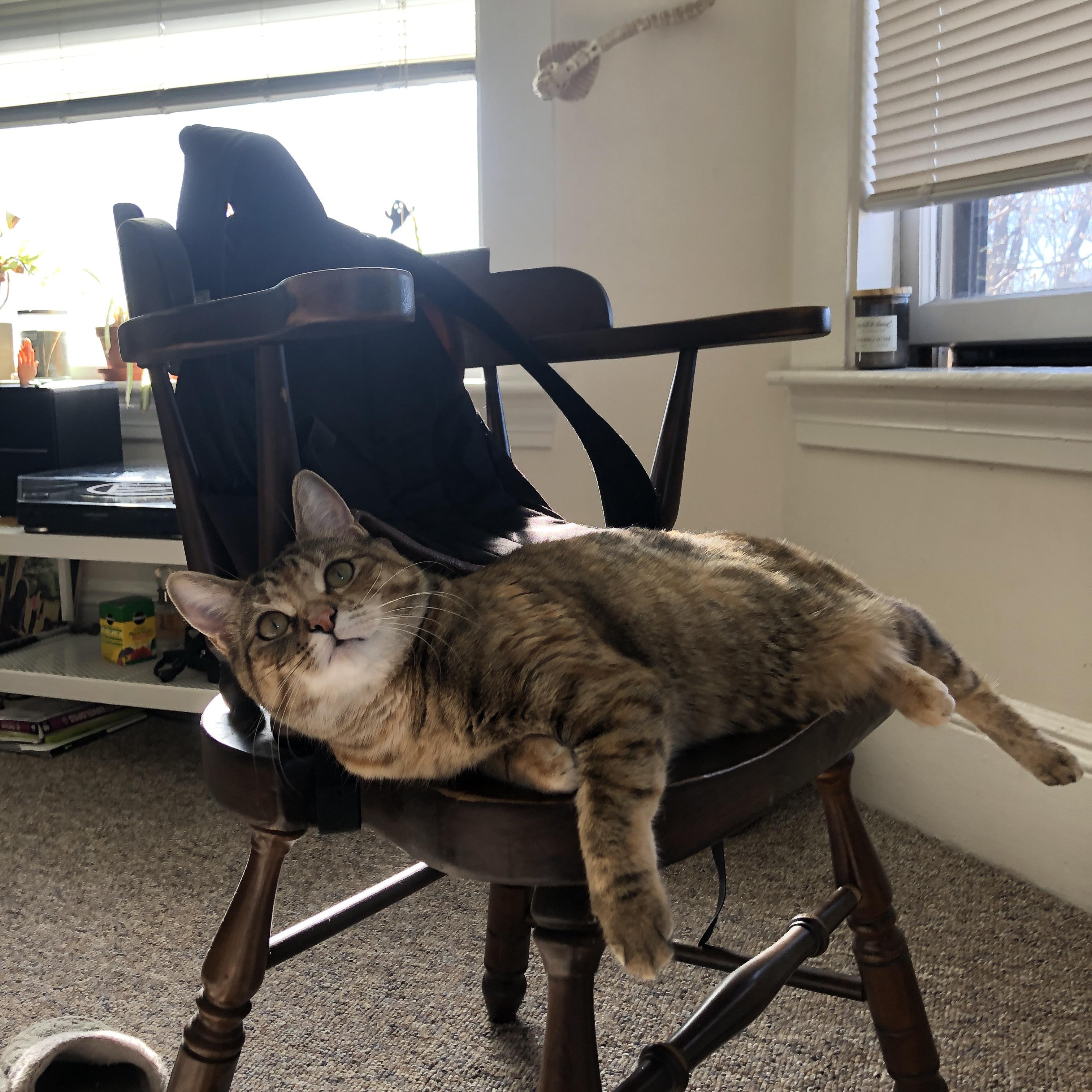 布鲁诺·卡博克洛在NBA夏季联赛中展现团队合作精神,布鲁卡洛斯