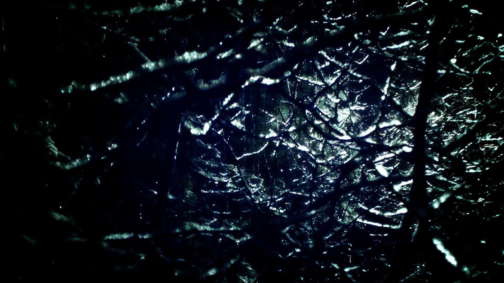 球员职业生涯规划是否被充分重视,职业生涯效力一支球队