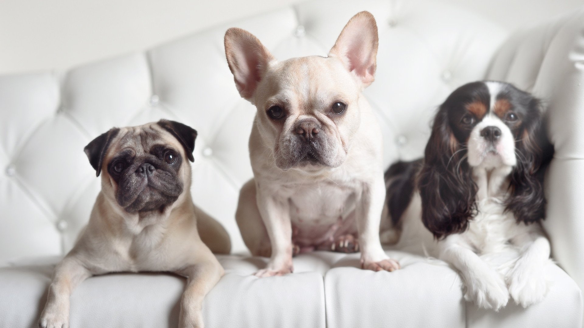 阿森纳客场失利，保级形势雪上加霜，阿森纳晋级