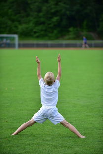 乐鱼官网-高校体育赛事观众体验提升，高校体育赛事观众体验提升方案