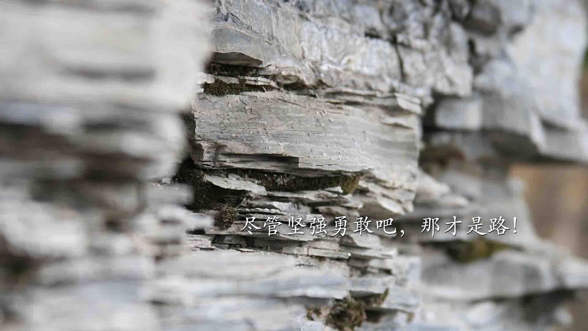 下载乐鱼体育APP-中国男篮积极尝试新型战术模式，中国男篮如何崛起