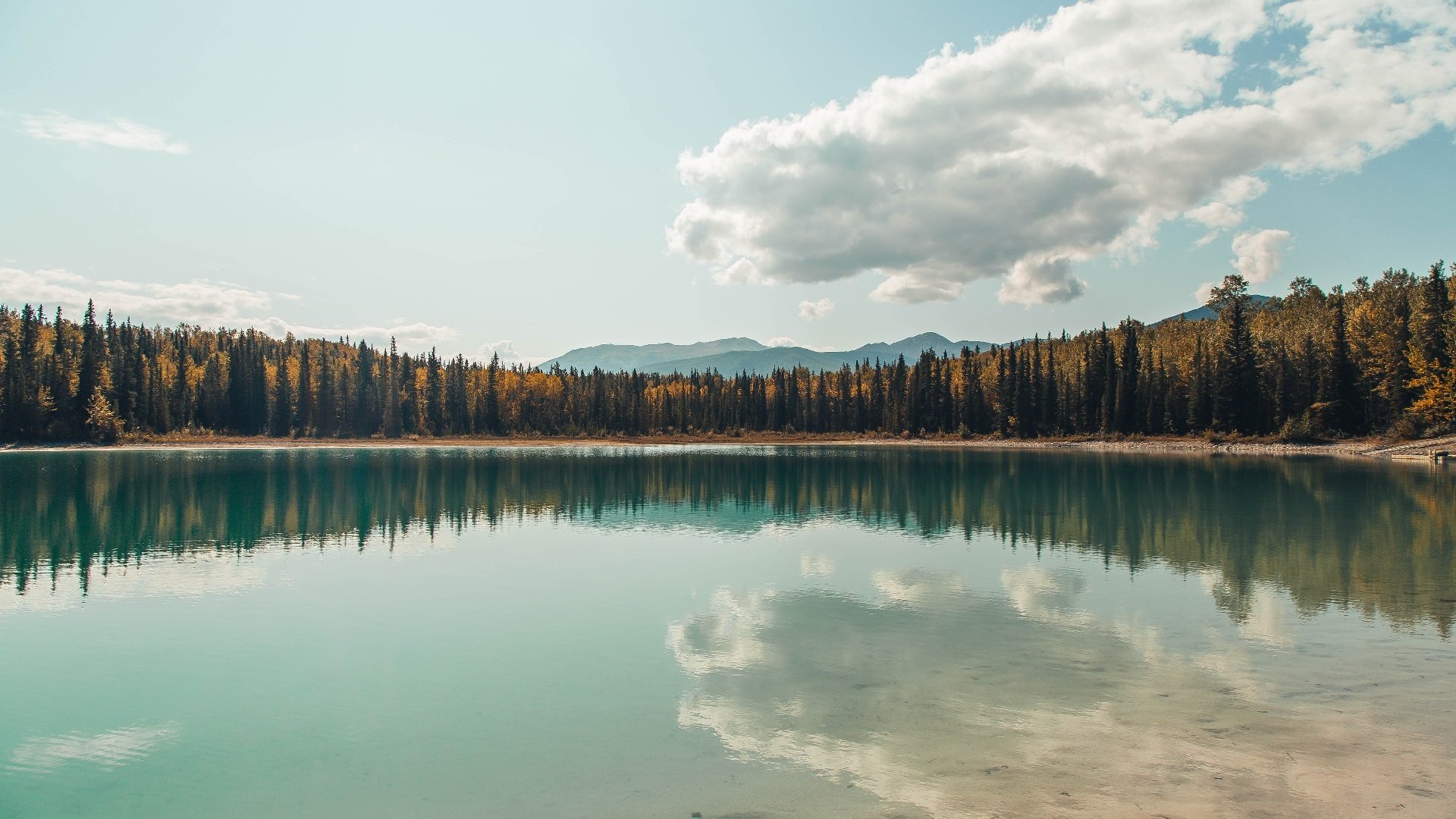 体育新闻中心启动体育内容多渠道品牌传播计划,体育新闻标题大全100条