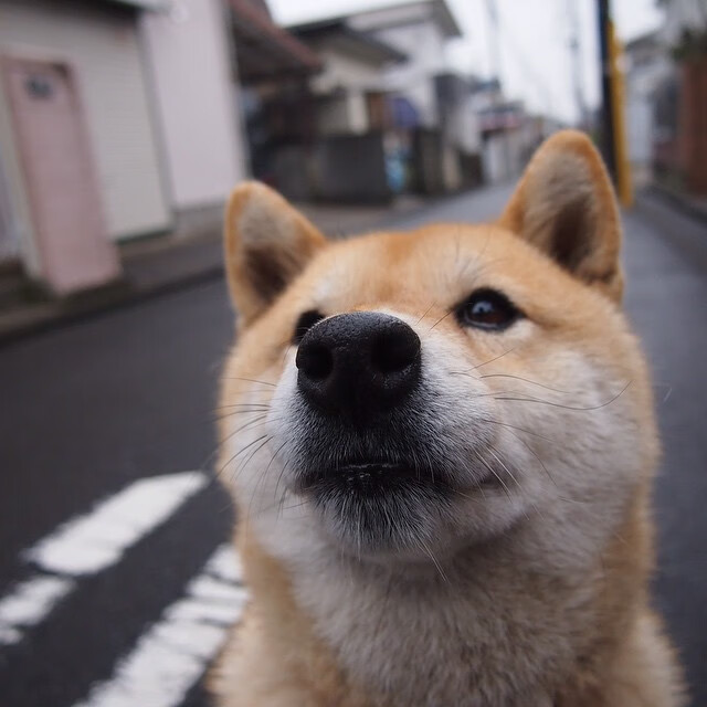 奥预赛中国女足逆袭 球员状态明显回升，中国女足奥预赛出线