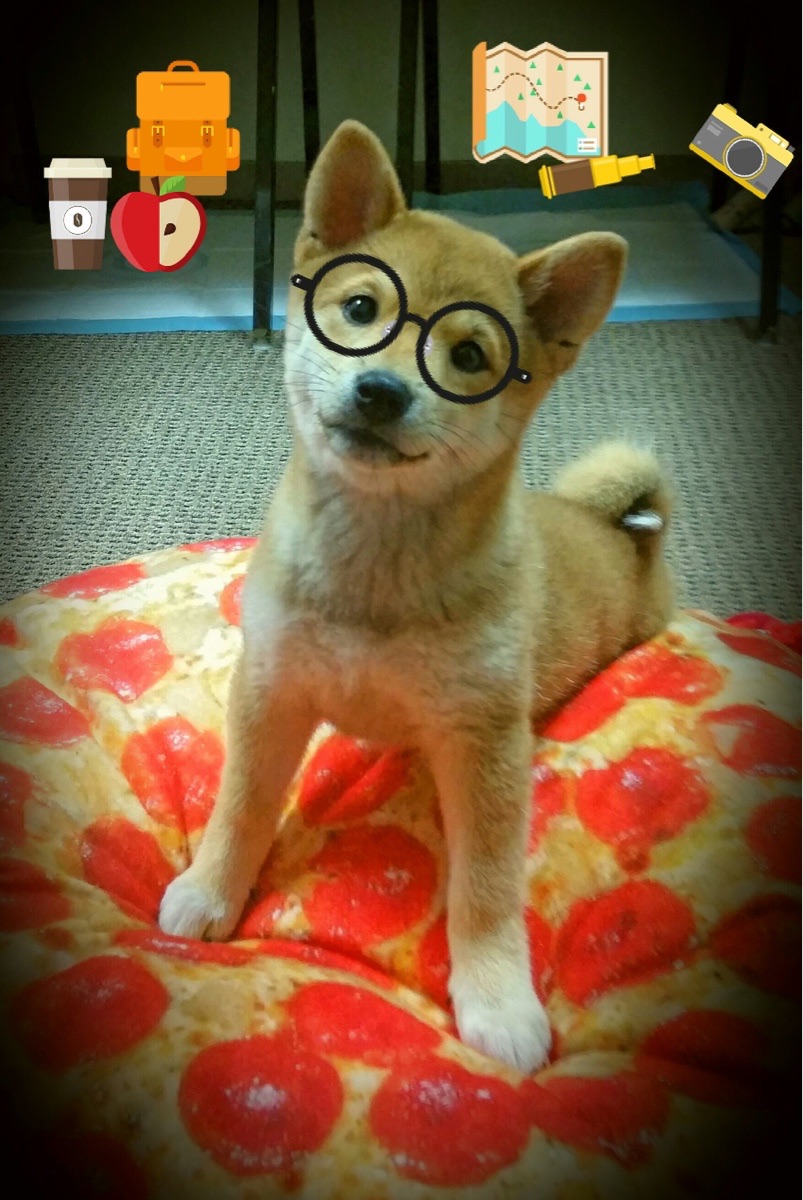 LEYU乐鱼体育官方网站-鹈鹕前锋积极参与队内会议提升责任感，鹈鹕队前身叫啥名