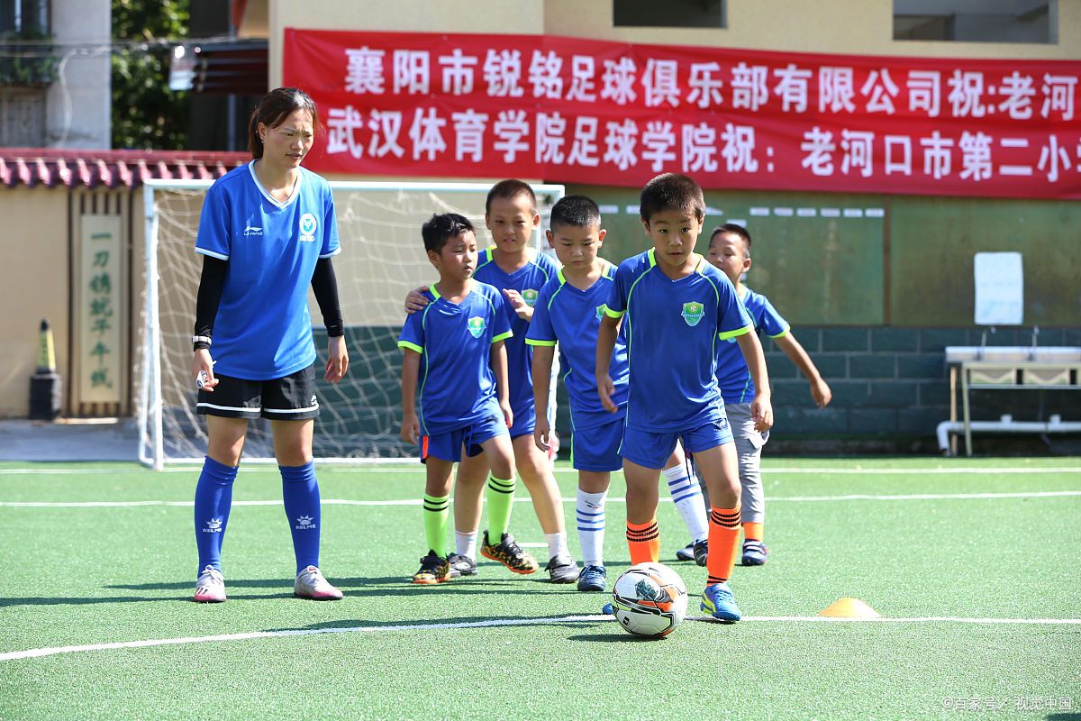 包含乐鱼体育:中国足球青训基地可持续运营：多元收入与精细管理的词条